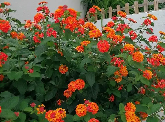 Lucija Appartamento Primošten